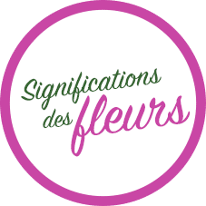 signification